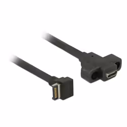 DeLOCK 85326, 0,45 m, USB A, USB C, USB 3.2 Gen 2 (3.1 Gen 2), Mâle/Mâle, Noir