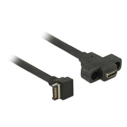 DeLOCK 85326 câble USB 0,45 m USB 3.2 Gen 2 (3.1 Gen 2) USB A USB C Noir