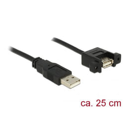 DeLOCK 85462 câble USB 0,25 m USB 2.0 USB A Noir