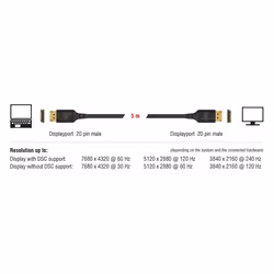 DeLOCK 85658 câble DisplayPort 1 m Noir