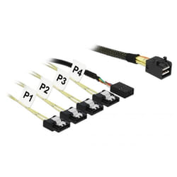 DeLOCK 85732 câble Serial Attached SCSI (SAS) 1 m Noir, Vert