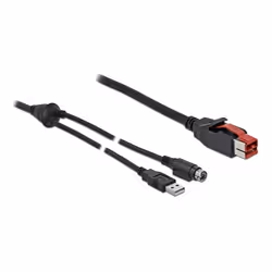 DeLOCK 85941, Noir, PoweredUSB, USB A/Hosiden Mini-DIN 3 pin, 2 m, Mâle/Mâle, 1 pièce(s)