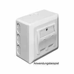 DeLOCK 86128 boîte de jonction électrique