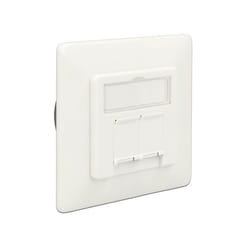 DeLOCK 86195 prise de courant RJ-45 Blanc