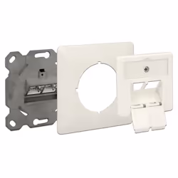 DeLOCK 86195 prise de courant RJ-45 Blanc