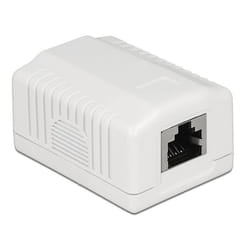 DeLOCK 86196 prise de courant RJ-45 Blanc