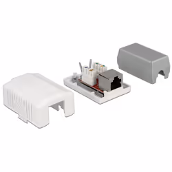 DeLOCK 86196 prise de courant RJ-45 Blanc