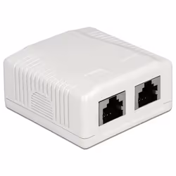 DeLOCK 86197, 2 x RJ-45, Blanc, TIA-568A/B, 59 mm, 61 mm, 29,5 mm