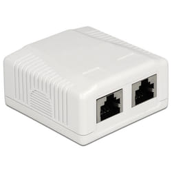 DeLOCK 86197 prise de courant 2 x RJ-45 Blanc