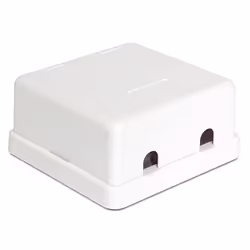 DeLOCK 86207 connecteur de fils 2x Keystone Blanc