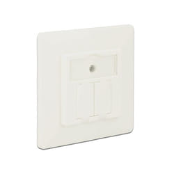 DeLOCK 86219 prise de courant RJ-45 Blanc