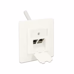 DeLOCK 86219 prise de courant RJ-45 Blanc