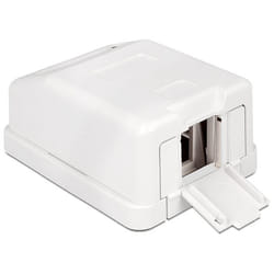 DeLOCK 86235 boitier électrique Blanc
