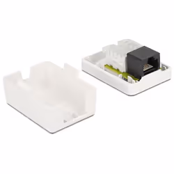 DeLOCK 86248 boitier de prise de courant Blanc