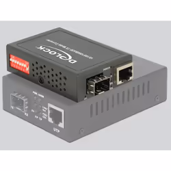 DeLOCK 86440 convertisseur de support réseau 1000 Mbit/s
