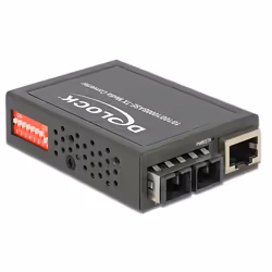 DeLOCK 86441, 1000 Mbit/s, SC, 10000 m, 1310 nm, 100 - 240 V, 2 A