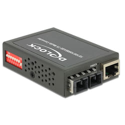 DeLOCK 86441 convertisseur de support réseau 1000 Mbit/s 1310 nm