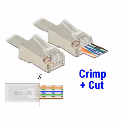 DeLOCK 86454 connecteur de fils RJ-45 Transparent