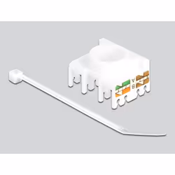 DeLOCK Keystone Modul RJ45 Buchse zu LSA Cat.6A 180° werkzeugfrei