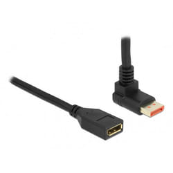 DeLOCK 87080 câble DisplayPort 1 m Noir