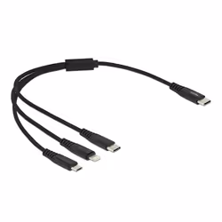 DeLOCK 87148, 0,3 m, USB C, USB C/Micro-USB B/Lightning, USB 2.0, Noir