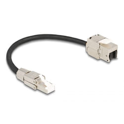 DeLOCK 87203 câble de réseau Noir, Argent 0,25 m Cat6a S/FTP (S-STP)