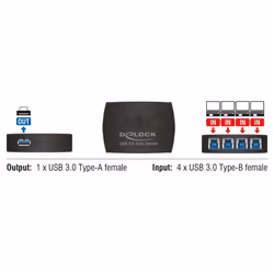 DeLOCK 87724 commutateur de données d'ordinateurs