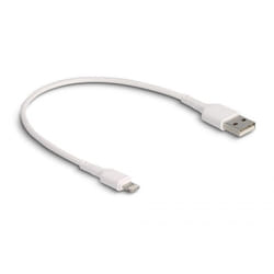 DeLOCK 87866 câble Lightning 0,3 m Blanc