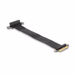 DeLOCK 88025 câble d'alimentation interne 0,3 m