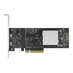 DeLOCK 89009 carte et adaptateur d'interfaces Interne USB 3.2 Gen 2 (3.1 Gen 2)