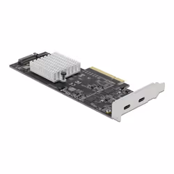 DeLOCK 89009 carte et adaptateur d'interfaces Interne USB 3.2 Gen 2 (3.1 Gen 2)