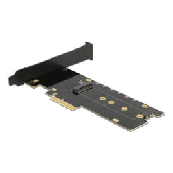 DeLOCK 89013 carte et adaptateur d'interfaces Interne M.2