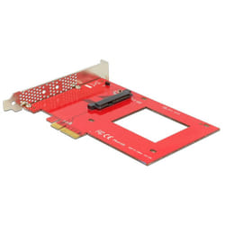 DeLOCK 89469 carte et adaptateur d'interfaces Interne U.2