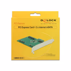 DeLOCK 89479 carte et adaptateur d'interfaces Interne mSATA