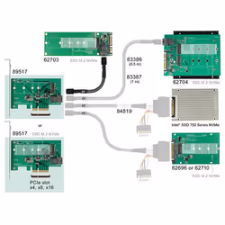 DeLOCK 89517 carte et adaptateur d'interfaces Interne M.2