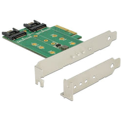 DeLOCK 89518 carte et adaptateur d'interfaces Interne M.2, SATA
