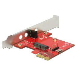 DeLOCK 89889 carte et adaptateur d'interfaces Interne M.2