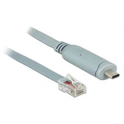 DeLOCK 89917 câble Série Gris 0,5 m USB 2.0 Type-C RJ45