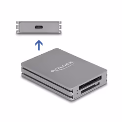 DeLOCK 91011 lecteur de carte mémoire USB 3.2 Gen 2 (3.1 Gen 2) Type-C Gris