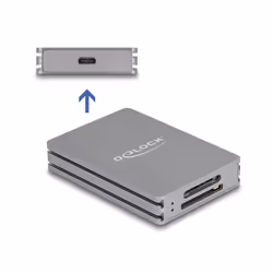 DeLOCK 91013 lecteur de carte mémoire USB 3.2 Gen 2 (3.1 Gen 2) Type-C Gris