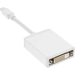 InLine 4043718174447 changeur de genre de câble DVI-D Mini DisplayPort Blanc