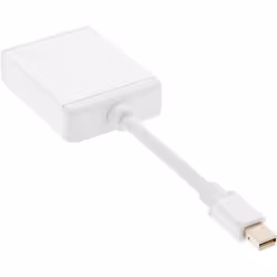 InLine 4043718174447 changeur de genre de câble DVI-D Mini DisplayPort Blanc