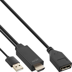 InLine 17168P câble vidéo et adaptateur 0,3 m HDMI Type A (Standard) DisplayPort Noir