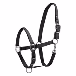 Licol pour cheval satin Waldhausen