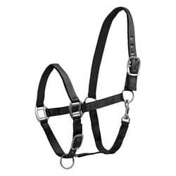Licol pour cheval satin Waldhausen
