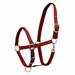 Licol pour cheval satin Waldhausen
