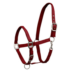 Licol pour cheval satin Waldhausen