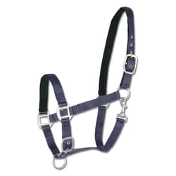 Licol pour cheval satin Waldhausen