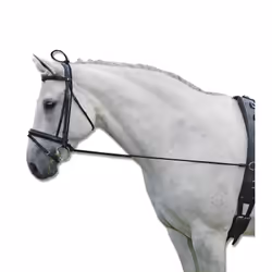 Enrênement élastique pour cheval Waldhausen