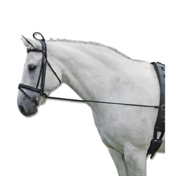 Enrênement élastique pour cheval Waldhausen